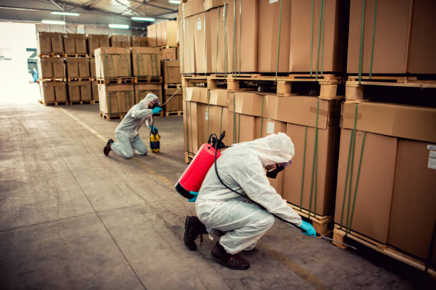 Best Rat Extermination Near Me  in Tullahoma, TN