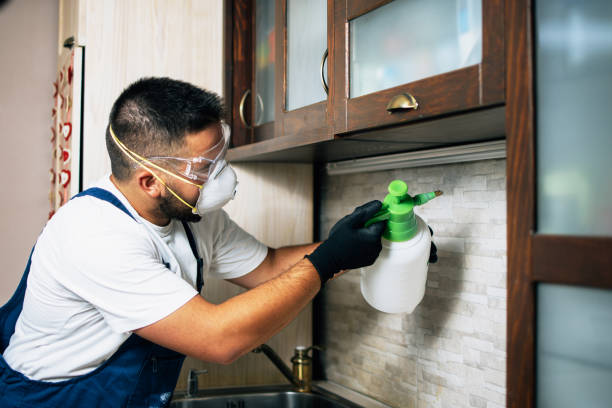 Best Rat Extermination Near Me  in Tullahoma, TN