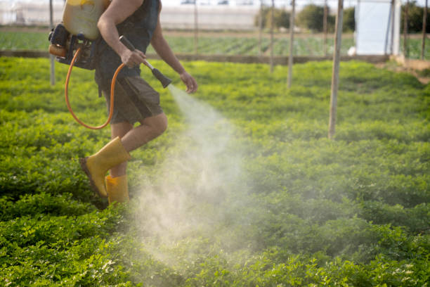 Best Pest Control Near Me  in Tullahoma, TN