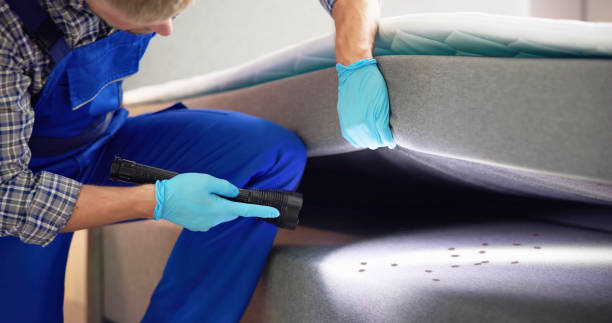 Best Ant Control Services  in Tullahoma, TN