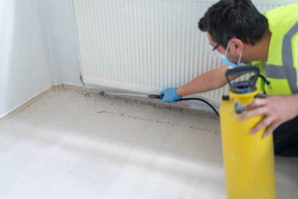 Best Cockroach Control Services  in Tullahoma, TN